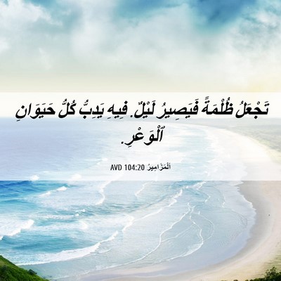 Picture 06 - اَلْمَزَامِيرُ 104:20 AVD - تَجْعَلُ ظُلْمَةً - Bible Verse Picture