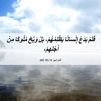 Picture 06 - اَلْمَزَامِيرُ 105:14 AVD - فَلَمْ يَدَعْ إِنْسَانًا - Bible Verse Picture