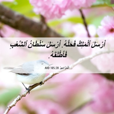 Picture 06 - اَلْمَزَامِيرُ 105:20 AVD - أَرْسَلَ ٱلْمَلِكُ - Bible Verse Picture