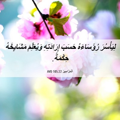 Picture 06 - اَلْمَزَامِيرُ 105:22 AVD - لِيَأْسُرَ رُؤَسَاءَهُ - Bible Verse Picture
