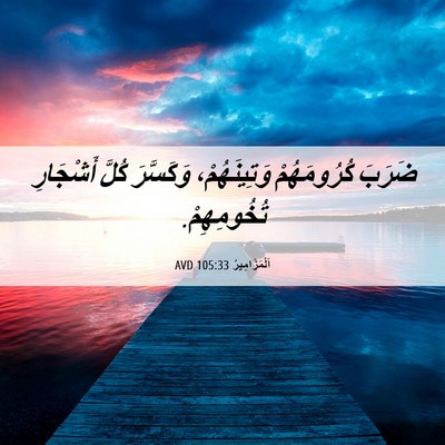 Picture 06 - اَلْمَزَامِيرُ 105:33 AVD - ضَرَبَ كُرُومَهُمْ - Bible Verse Picture
