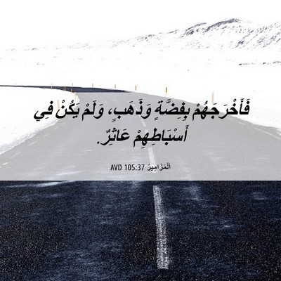 Picture 06 - اَلْمَزَامِيرُ 105:37 AVD - فَأَخْرَجَهُمْ بِفِضَّةٍ - Bible Verse Picture