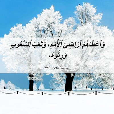 Picture 06 - اَلْمَزَامِيرُ 105:44 AVD - وَأَعْطَاهُمْ أَرَاضِيَ - Bible Verse Picture