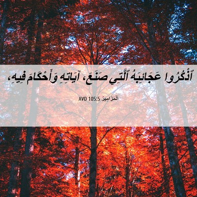 Picture 06 - اَلْمَزَامِيرُ 105:5 AVD - ٱذْكُرُوا عَجَائِبَهُ - Bible Verse Picture