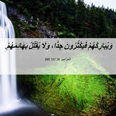 Picture 06 - اَلْمَزَامِيرُ 107:38 AVD - وَيُبَارِكُهُمْ - Bible Verse Picture