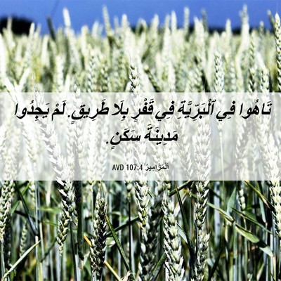Picture 06 - اَلْمَزَامِيرُ 107:4 AVD - تَاهُوا فِي ٱلْبَرِّيَّةِ - Bible Verse Picture