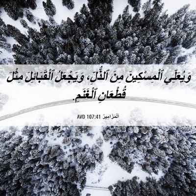 Picture 06 - اَلْمَزَامِيرُ 107:41 AVD - وَيُعَلِّي ٱلْمِسْكِينَ - Bible Verse Picture