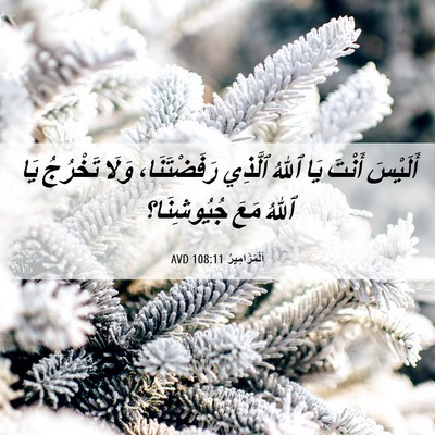 Picture 06 - اَلْمَزَامِيرُ 108:11 AVD - أَلَيْسَ أَنْتَ يَا ٱللهُ - Bible Verse Picture