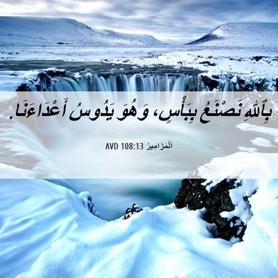 Picture 06 - اَلْمَزَامِيرُ 108:13 AVD - بِٱللهِ نَصْنَعُ - Bible Verse Picture