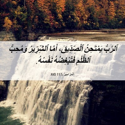 Picture 06 - اَلْمَزَامِيرُ 11:5 AVD - ٱلرَّبُّ يَمْتَحِنُ - Bible Verse Picture