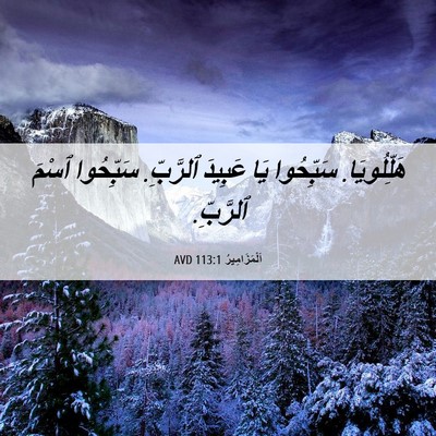 Picture 06 - اَلْمَزَامِيرُ 113:1 AVD - هَلِّلُويَا. سَبِّحُوا يَا - Bible Verse Picture