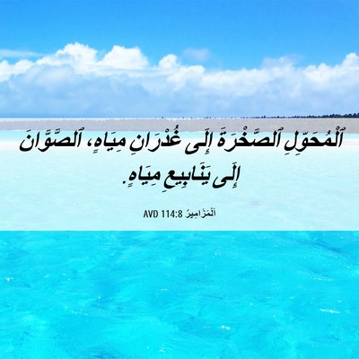 Picture 06 - اَلْمَزَامِيرُ 114:8 AVD - ٱلْمُحَوِّلِ ٱلصَّخْرَةَ - Bible Verse Picture