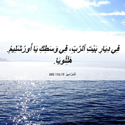 Picture 06 - اَلْمَزَامِيرُ 116:19 AVD - فِي دِيَارِ بَيْتِ - Bible Verse Picture