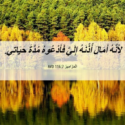 Picture 06 - اَلْمَزَامِيرُ 116:2 AVD - لِأَنَّهُ أَمَالَ - Bible Verse Picture