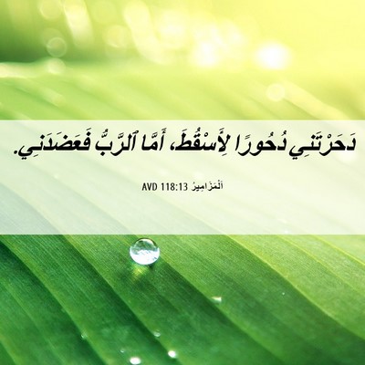 Picture 06 - اَلْمَزَامِيرُ 118:13 AVD - دَحَرْتَنِي دُحُورًا - Bible Verse Picture