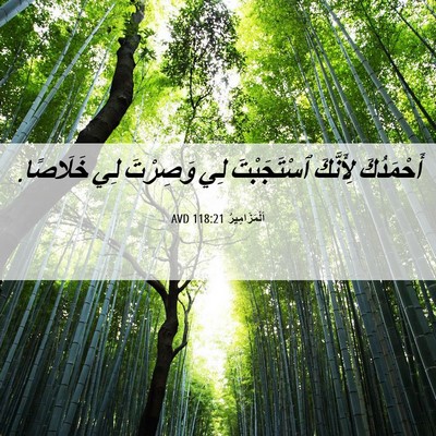 Picture 06 - اَلْمَزَامِيرُ 118:21 AVD - أَحْمَدُكَ لِأَنَّكَ - Bible Verse Picture