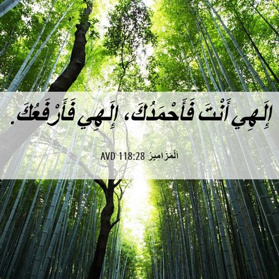 Picture 06 - اَلْمَزَامِيرُ 118:28 AVD - إِلَهِي أَنْتَ - Bible Verse Picture