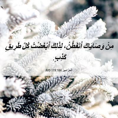 Picture 06 - اَلْمَزَامِيرُ 119:104 AVD - مِنْ وَصَايَاكَ - Bible Verse Picture