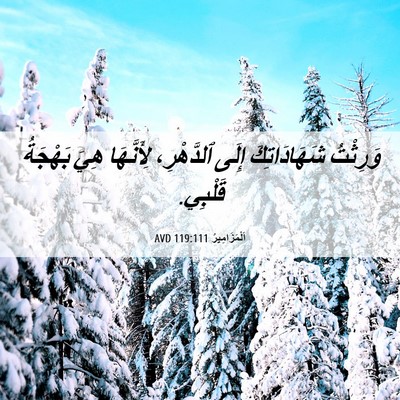 Picture 06 - اَلْمَزَامِيرُ 119:111 AVD - وَرِثْتُ شَهَادَاتِكَ - Bible Verse Picture