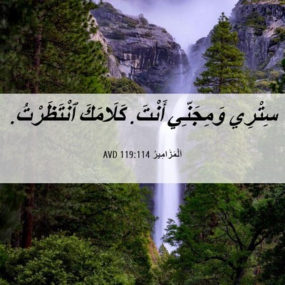 Picture 06 - اَلْمَزَامِيرُ 119:114 AVD - سِتْرِي وَمِجَنِّي أَنْتَ. - Bible Verse Picture