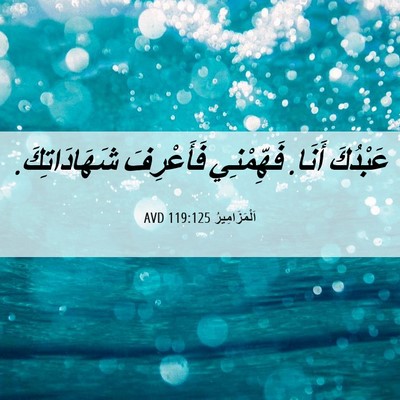 Picture 06 - اَلْمَزَامِيرُ 119:125 AVD - عَبْدُكَ أَنَا. فَهِّمْنِي - Bible Verse Picture