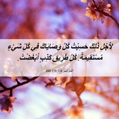 Picture 06 - اَلْمَزَامِيرُ 119:128 AVD - لِأَجْلِ ذَلِكَ حَسِبْتُ - Bible Verse Picture