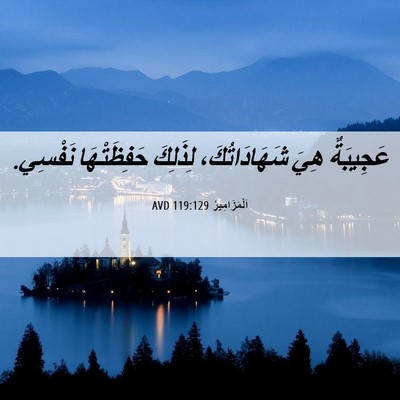 Picture 06 - اَلْمَزَامِيرُ 119:129 AVD - عَجِيبَةٌ هِيَ - Bible Verse Picture