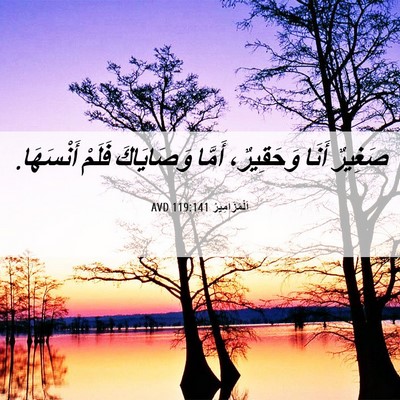 Picture 06 - اَلْمَزَامِيرُ 119:141 AVD - صَغِيرٌ أَنَا وَحَقِيرٌ، - Bible Verse Picture