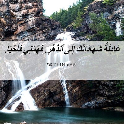 Picture 06 - اَلْمَزَامِيرُ 119:144 AVD - عَادِلَةٌ شَهَادَاتُكَ - Bible Verse Picture