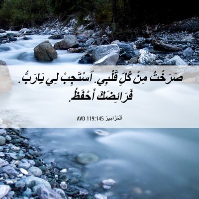 Picture 06 - اَلْمَزَامِيرُ 119:145 AVD - صَرَخْتُ مِنْ كُلِّ - Bible Verse Picture