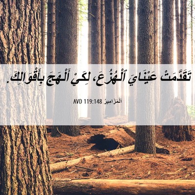 Picture 06 - اَلْمَزَامِيرُ 119:148 AVD - تَقَدَّمَتْ عَيْنَايَ - Bible Verse Picture
