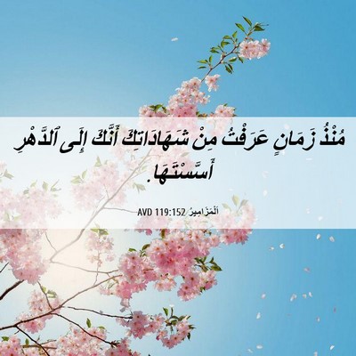 Picture 06 - اَلْمَزَامِيرُ 119:152 AVD - مُنْذُ زَمَانٍ عَرَفْتُ - Bible Verse Picture