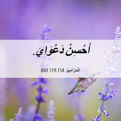 Picture 06 - اَلْمَزَامِيرُ 119:154 AVD - أَحْسِنْ - Bible Verse Picture