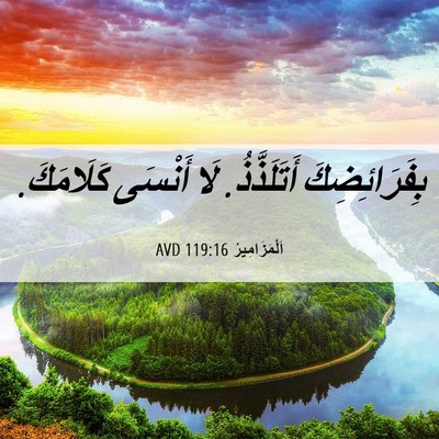 Picture 06 - اَلْمَزَامِيرُ 119:16 AVD - بِفَرَائِضِكَ - Bible Verse Picture