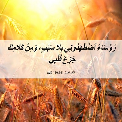 Picture 06 - اَلْمَزَامِيرُ 119:161 AVD - رُؤَسَاءُ ٱضْطَهَدُونِي - Bible Verse Picture