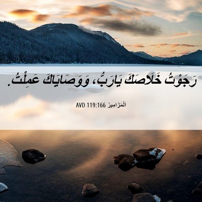 Picture 06 - اَلْمَزَامِيرُ 119:166 AVD - رَجَوْتُ خَلَاصَكَ - Bible Verse Picture