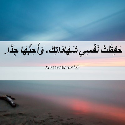 Picture 06 - اَلْمَزَامِيرُ 119:167 AVD - حَفِظَتْ نَفْسِي - Bible Verse Picture