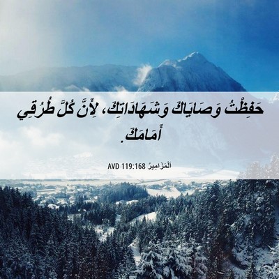 Picture 06 - اَلْمَزَامِيرُ 119:168 AVD - حَفِظْتُ وَصَايَاكَ - Bible Verse Picture