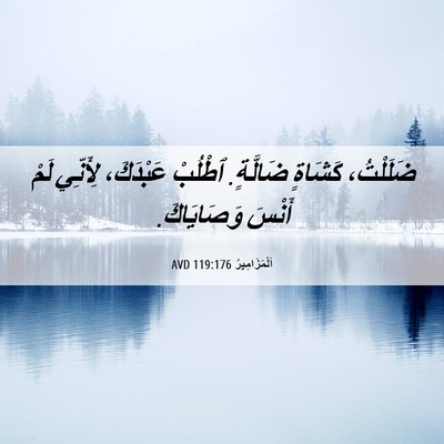 Picture 06 - اَلْمَزَامِيرُ 119:176 AVD - ضَلَلْتُ، كَشَاةٍ - Bible Verse Picture