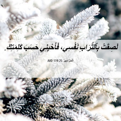 Picture 06 - اَلْمَزَامِيرُ 119:25 AVD - لَصِقَتْ بِٱلتُّرَابِ - Bible Verse Picture