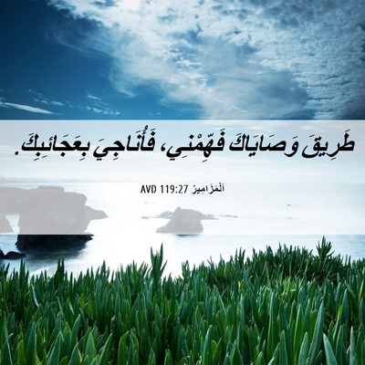 Picture 06 - اَلْمَزَامِيرُ 119:27 AVD - طَرِيقَ وَصَايَاكَ - Bible Verse Picture
