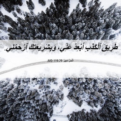 Picture 06 - اَلْمَزَامِيرُ 119:29 AVD - طَرِيقَ ٱلْكَذِبِ - Bible Verse Picture