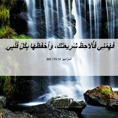 Picture 06 - اَلْمَزَامِيرُ 119:34 AVD - فَهِّمْنِي فَأُلَاحِظَ - Bible Verse Picture