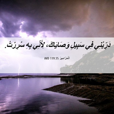 Picture 06 - اَلْمَزَامِيرُ 119:35 AVD - دَرِّبْنِي فِي سَبِيلِ - Bible Verse Picture