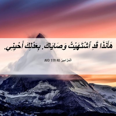 Picture 06 - اَلْمَزَامِيرُ 119:40 AVD - هَأَنَذَا قَدِ - Bible Verse Picture