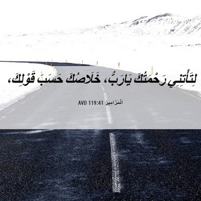 Picture 06 - اَلْمَزَامِيرُ 119:41 AVD - لِتَأْتِنِي رَحْمَتُكَ - Bible Verse Picture