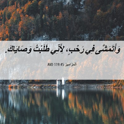 Picture 06 - اَلْمَزَامِيرُ 119:45 AVD - وَأَتَمَشَّى فِي رَحْبٍ، - Bible Verse Picture