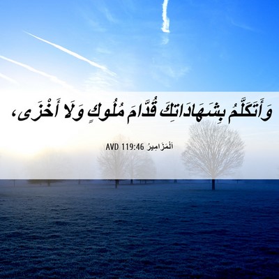 Picture 06 - اَلْمَزَامِيرُ 119:46 AVD - وَأَتَكَلَّمُ - Bible Verse Picture