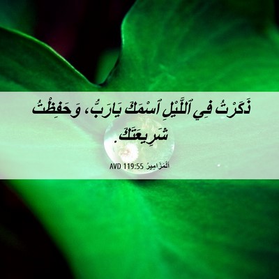 Picture 06 - اَلْمَزَامِيرُ 119:55 AVD - ذَكَرْتُ فِي ٱللَّيْلِ - Bible Verse Picture