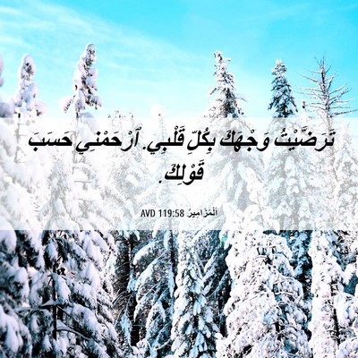 Picture 06 - اَلْمَزَامِيرُ 119:58 AVD - تَرَضَّيْتُ وَجْهَكَ - Bible Verse Picture